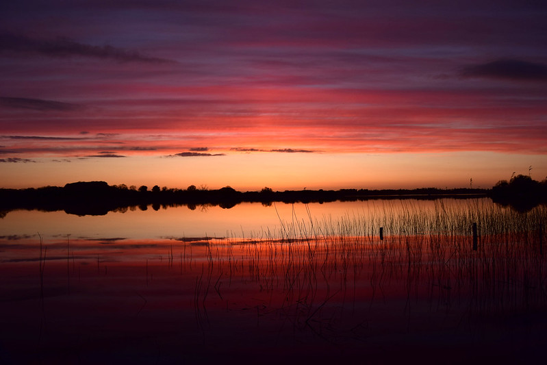 lough ree