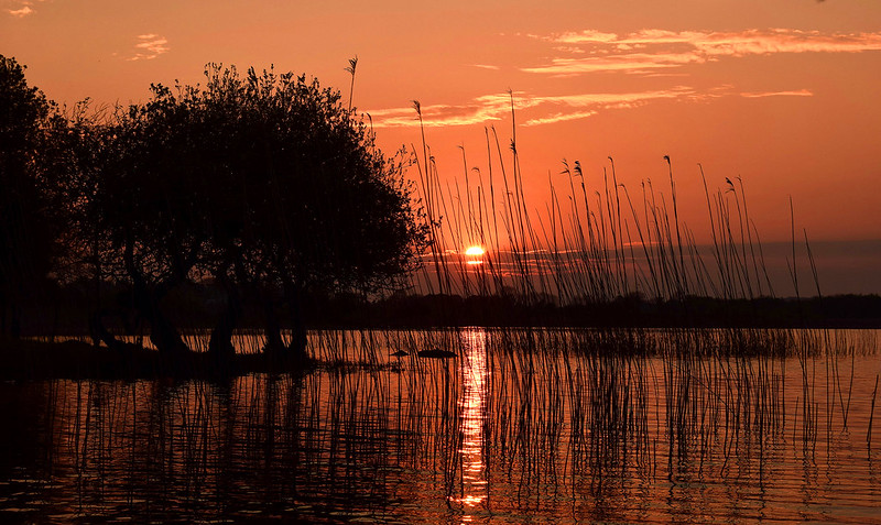 lough ree