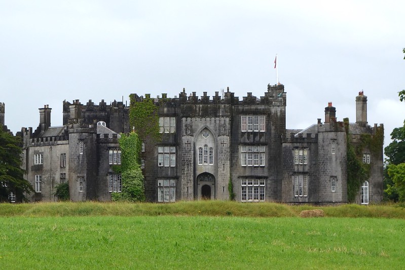 Birr-Catle-near-River-Shannon