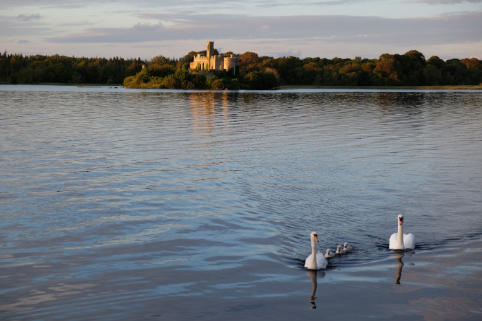 Castle-Island-Lough-Key