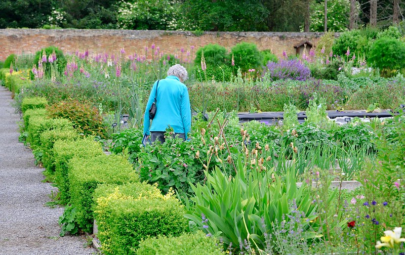 Portumna-Castle-Gardens