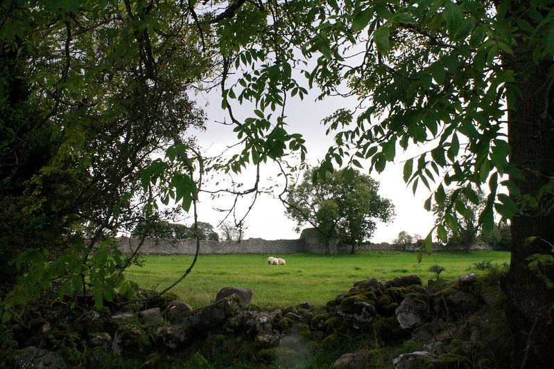 Rindoon-Castle-Medieval-Wall-River-Shannon