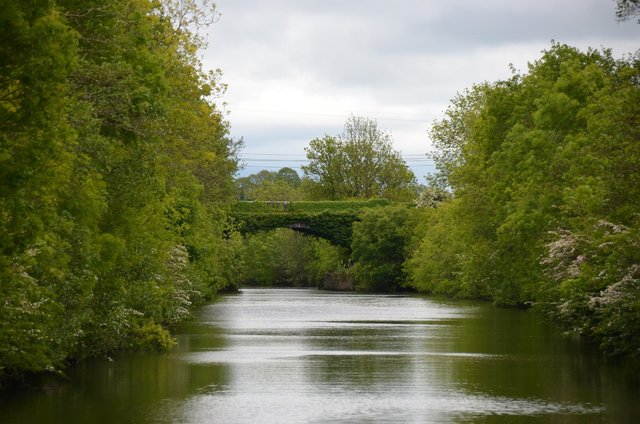 river-shannon