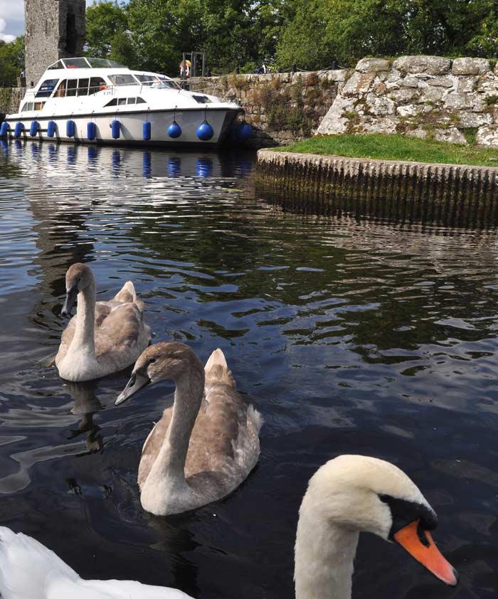 cruise boat hire enniskillen